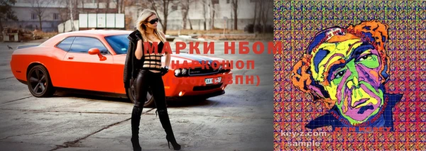 спайс Нея
