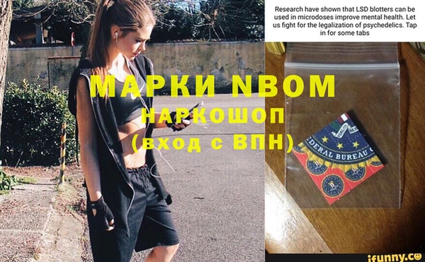 спайс Нея