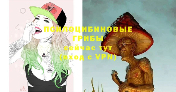 спайс Нея