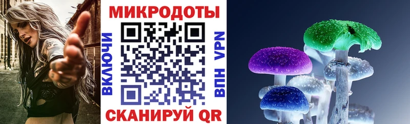 Галлюциногенные грибы мухоморы  магазин продажи   Братск 