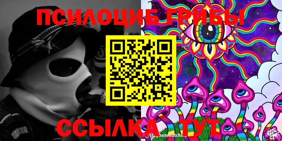 закладка  Братск  Псилоцибиновые грибы Magic Shrooms 