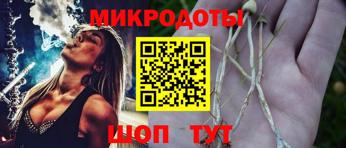 Братск  Галлюциногенные грибы мухоморы  Вход с VPN 