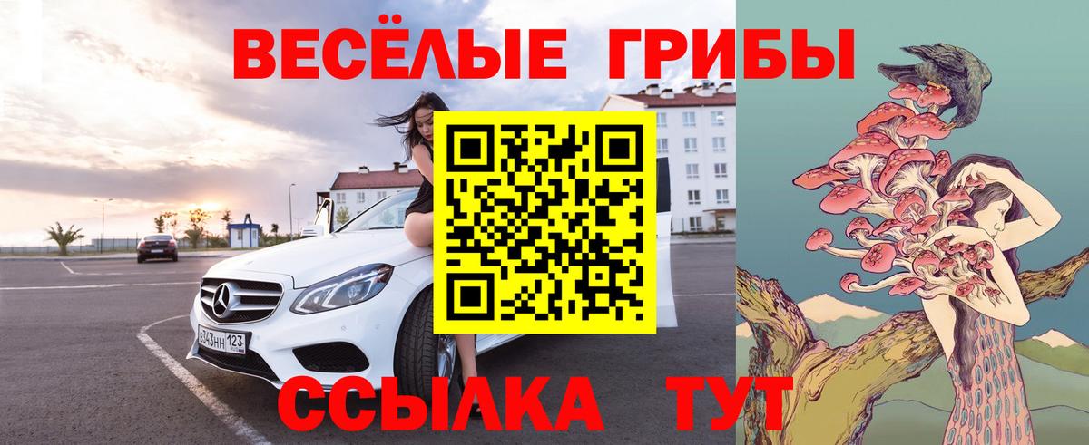 Галлюциногенные грибы Cubensis Братск