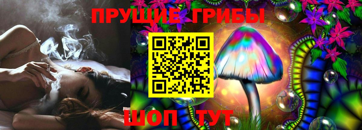 Галлюциногенные грибы GOLDEN TEACHER Братск